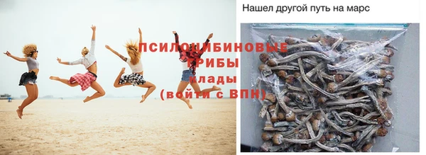 амф Алексеевка
