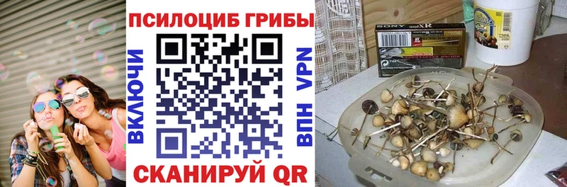 Галлюциногенные грибы мицелий  Баймак 